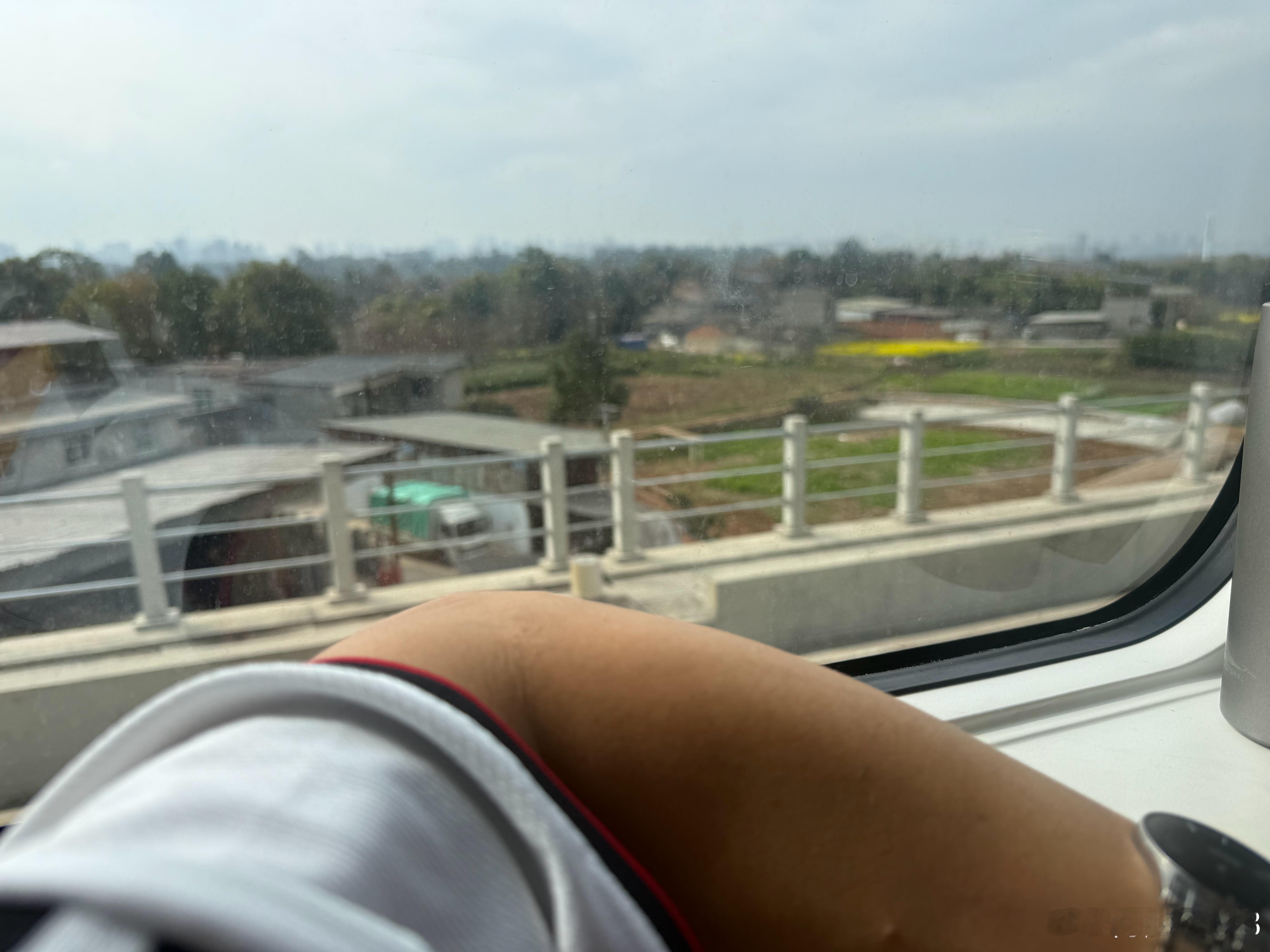 从新疆回到四川一夜入夏了，直接上短袖了，今天出门看到好多穿羽绒服的？他们是没来得