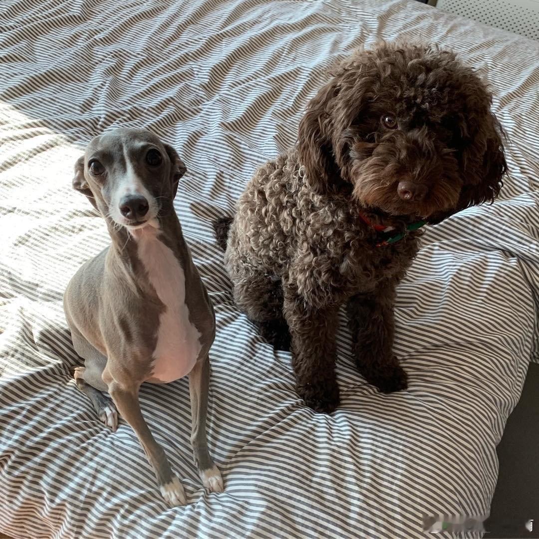 D-DAY小姜军毕啦 