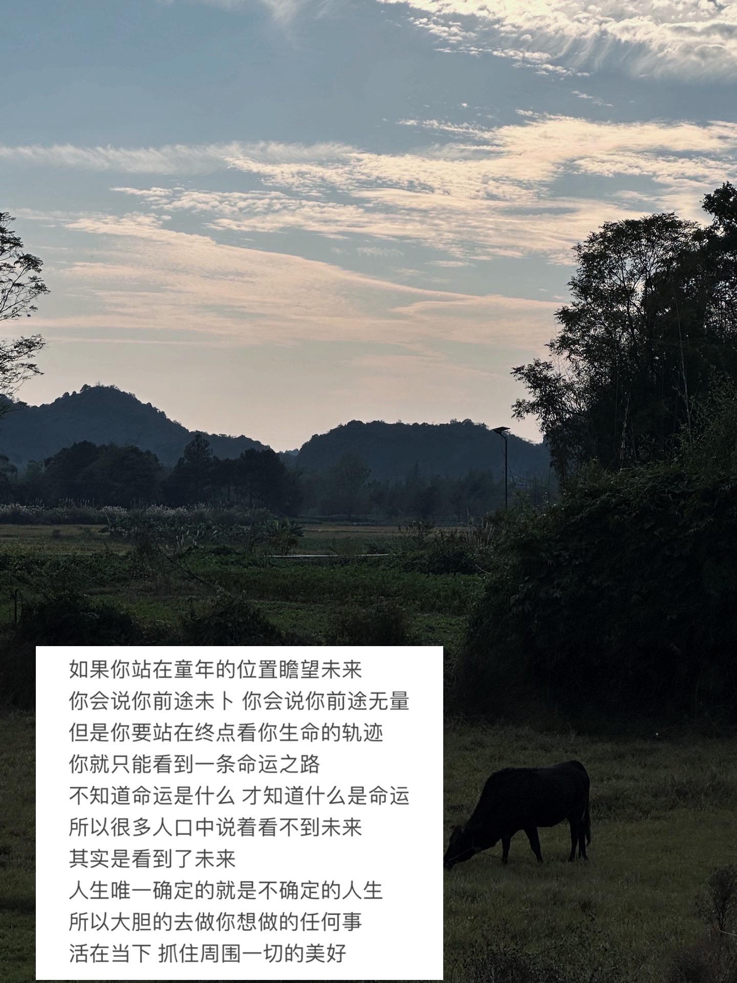 不知道命运是什么 才知道什么是命运.