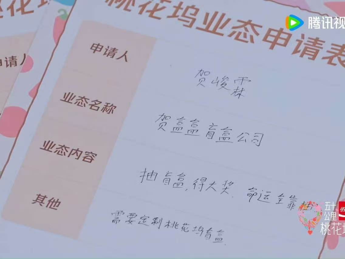 贺峻霖业态叫贺盒盒贺峻霖业态公司名叫贺盒盒 贺峻霖在《桃花坞》中业态公司名叫“贺