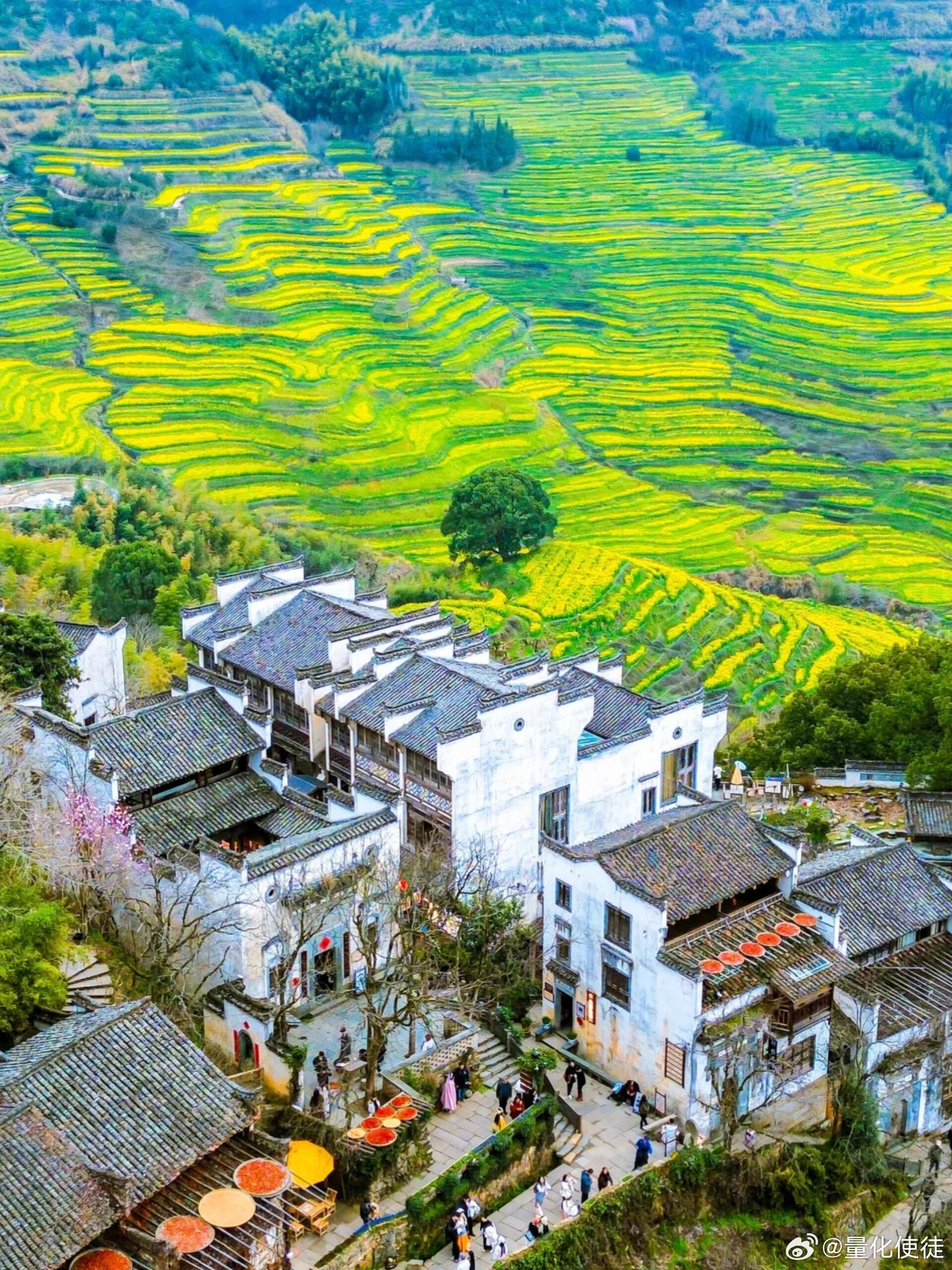 每日一善“阳春三月，万物复苏，愿春风不寒，人间温暖，时光不老，你我平安，愿你眼中
