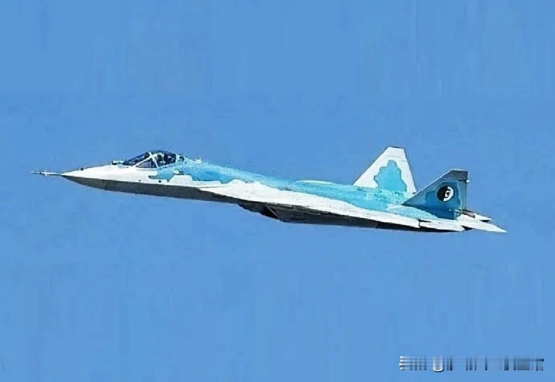 之前真没注意，俄罗斯交付给阿尔及利亚的苏57居然还有空速管，这是啥情况，难道给了