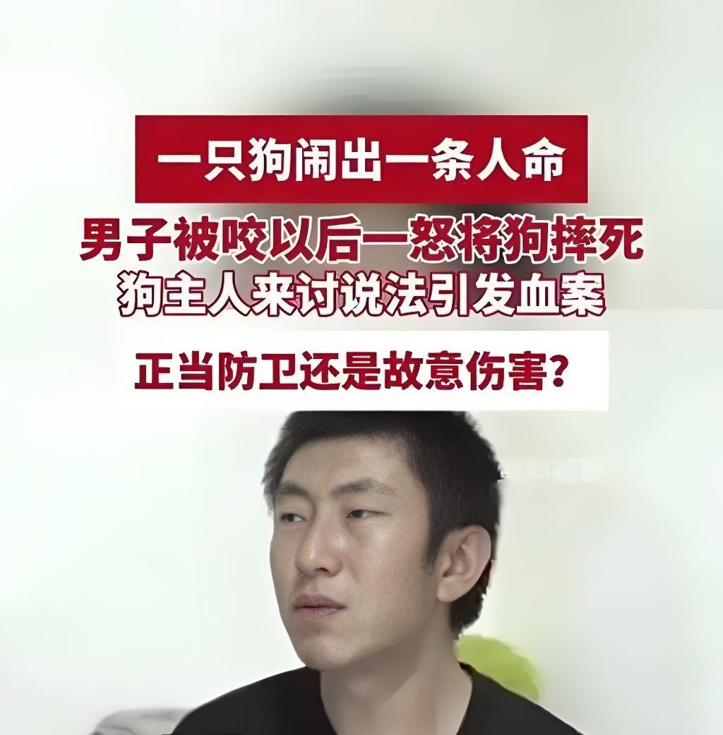 一条狗，两条命：谁为这场本可避免的悲剧买单？
玻璃碎片散落一地，家门被踹开，三层