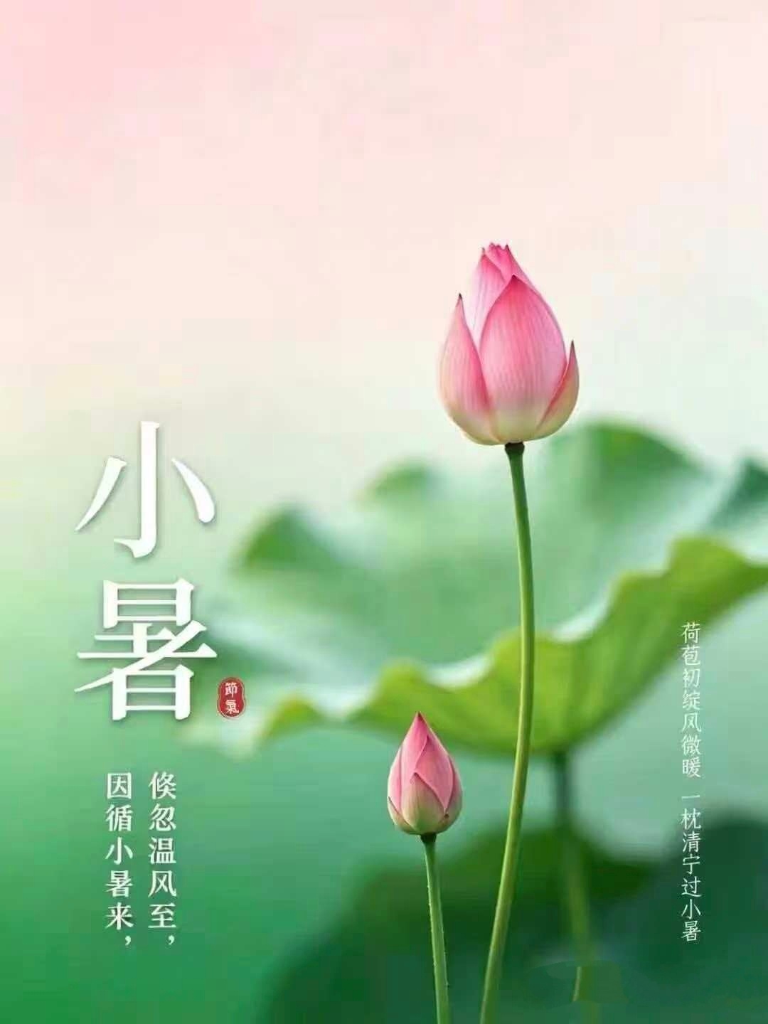 【健康养生】1 ）夏不贪凉，护住阳气。天热时毛孔张开，阳气浮于体表，内脏反而偏虚