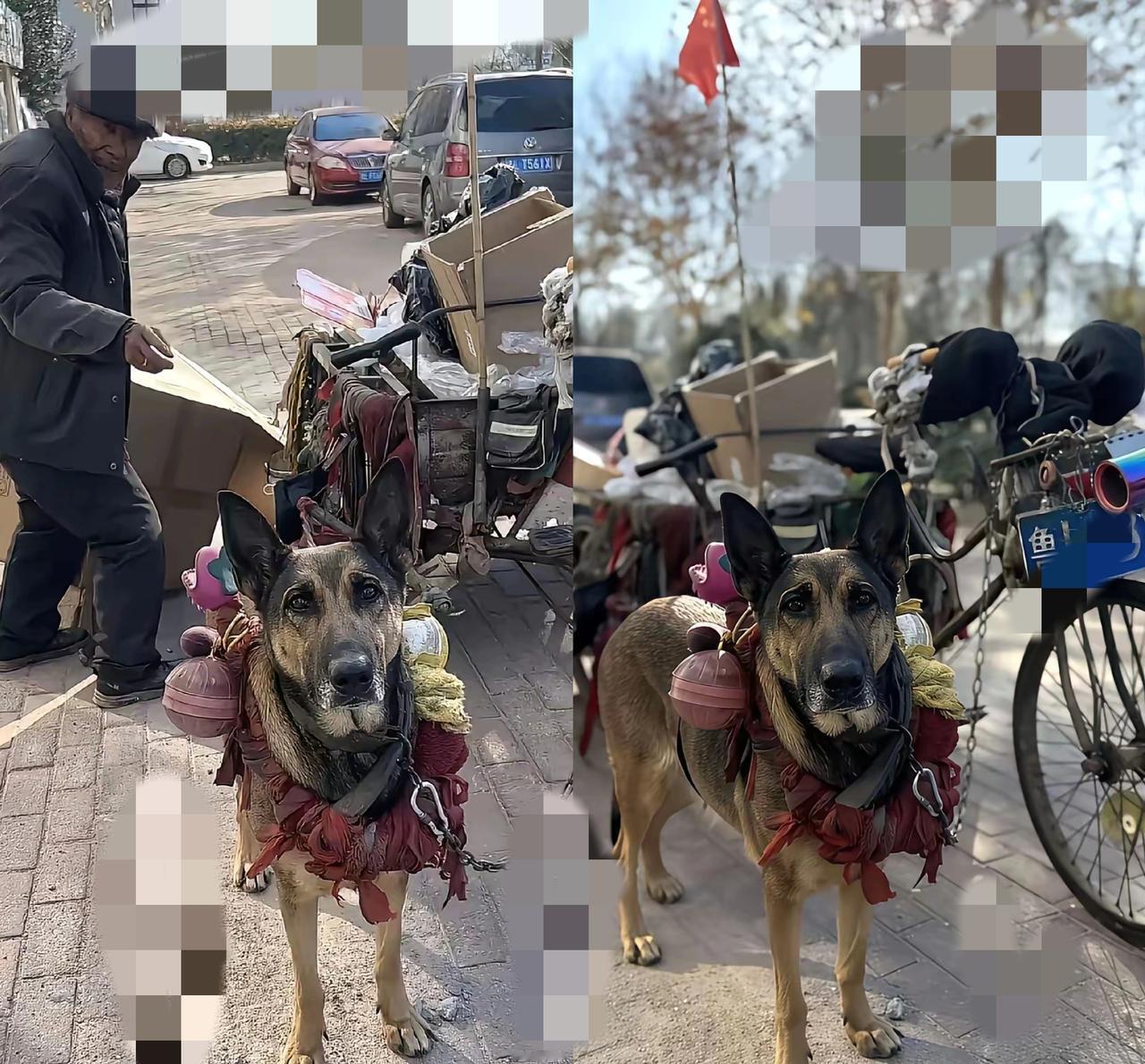 真的被山东日照这位拾荒老人的故事暖到了！
      自己生活本就不易，却守着虎