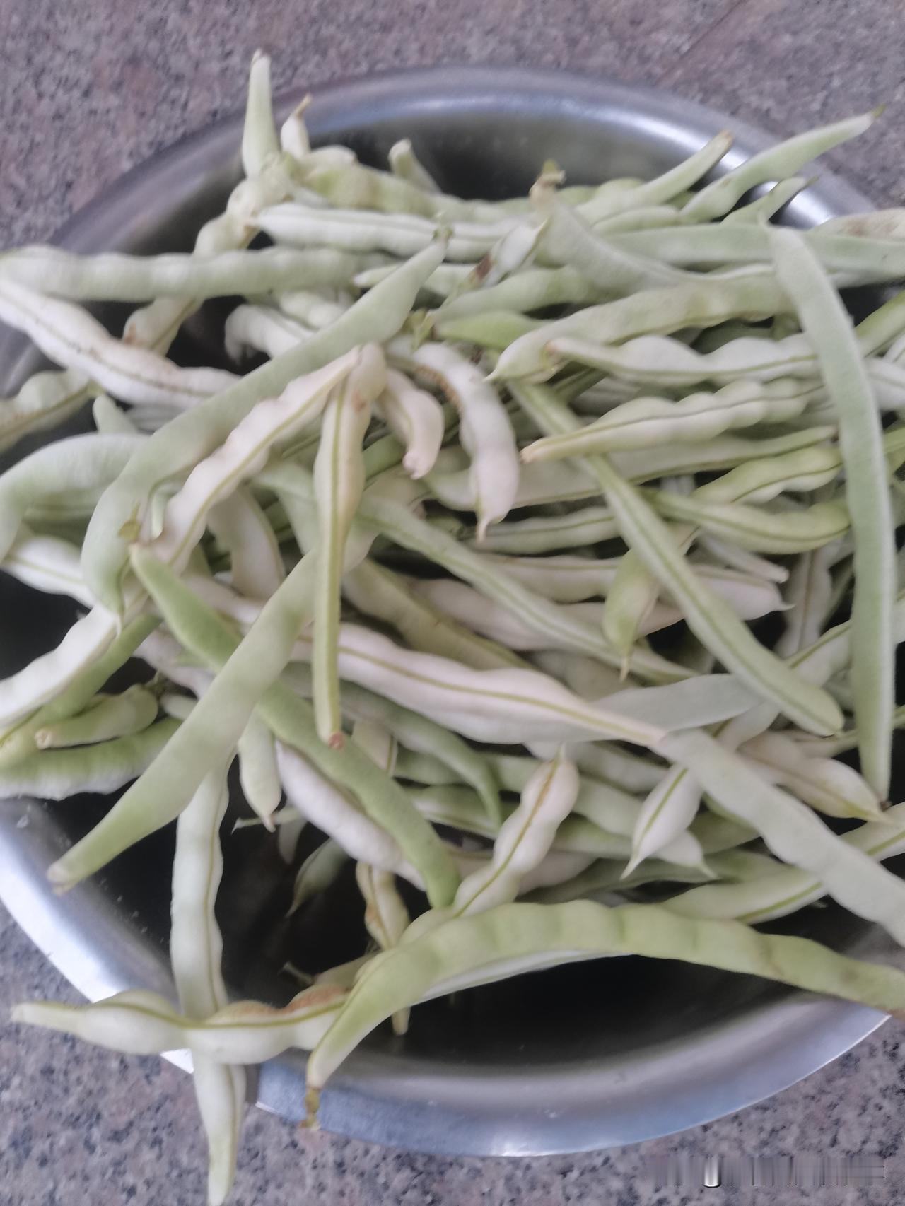 四季豆冻着能好吃吗？
四季豆下来就吃不及，几天的时间就过劲儿了。
农村每家每户都