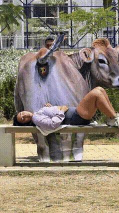 恶搞，还得看国外～[大笑]