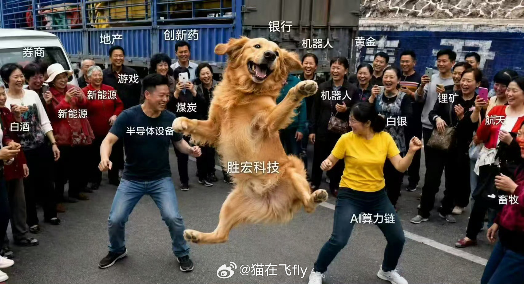 今天胜子起飞了