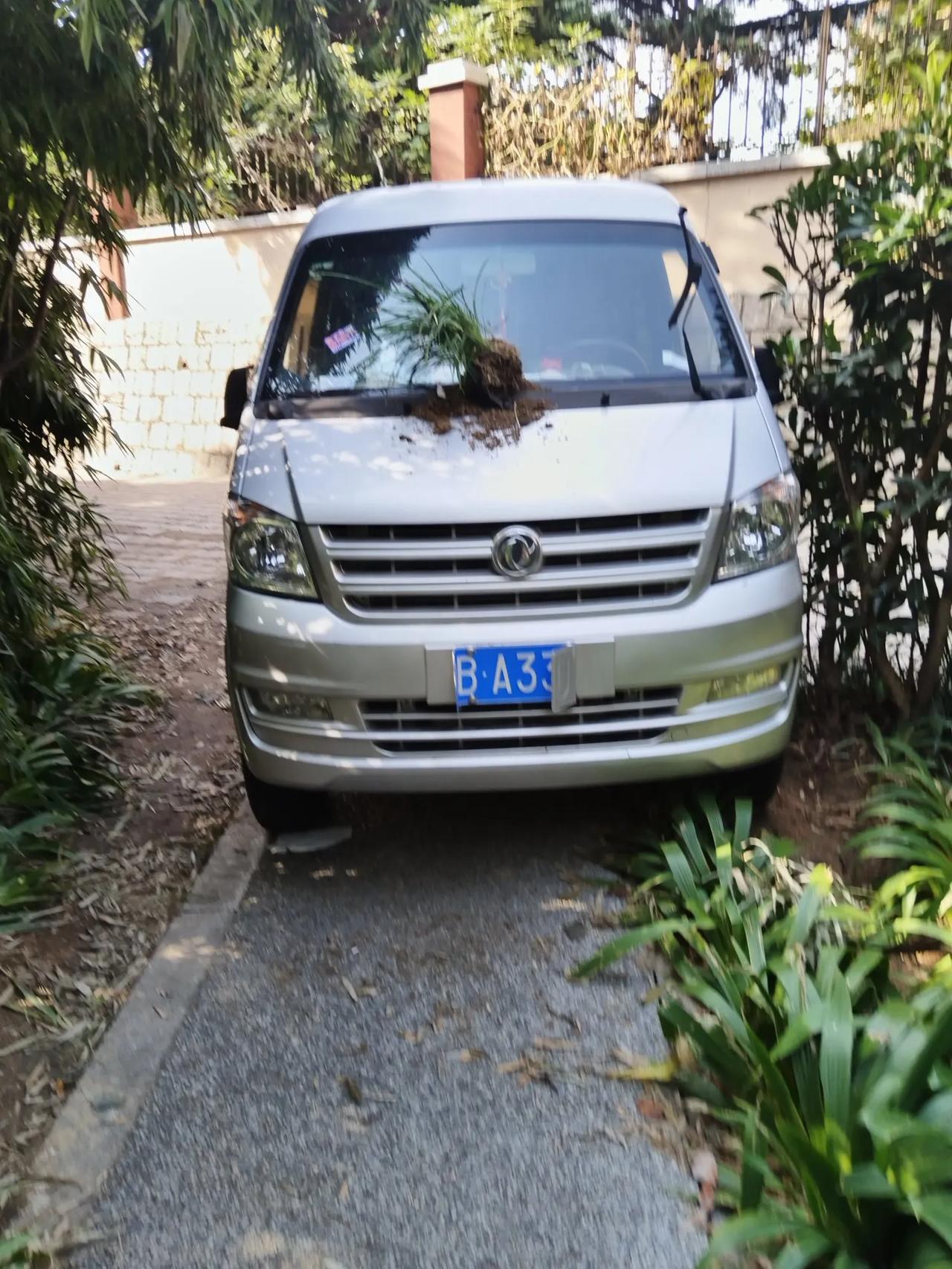 刚刚路过这里，这车上多了一棵植物，少了一个刮雨器。

每天上班路过这个小公园，这