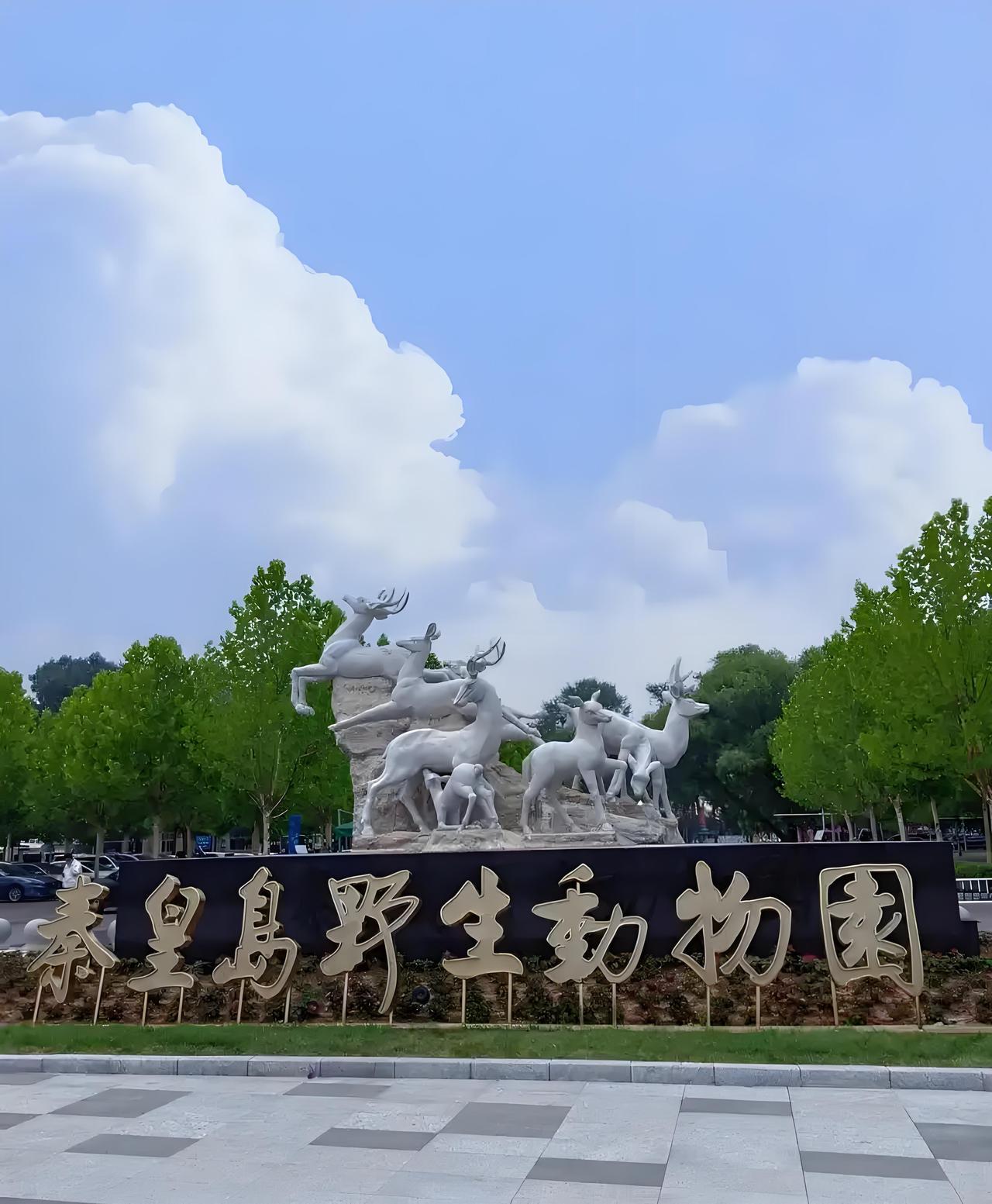 今天起，护士免费！秦皇岛野生动物园重要通知！
秦皇岛野生动物园官宣：5月12日—