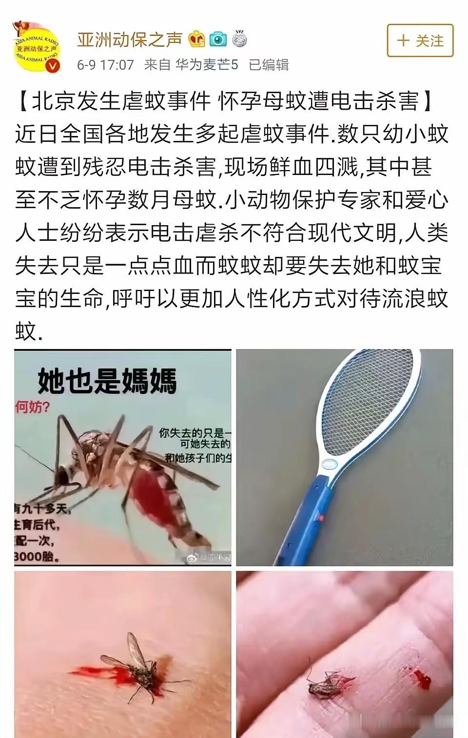 “人类失去的只是一点血，而蚊子却要失去她和蚊宝宝的生命，呼吁以更加人性化方式对待