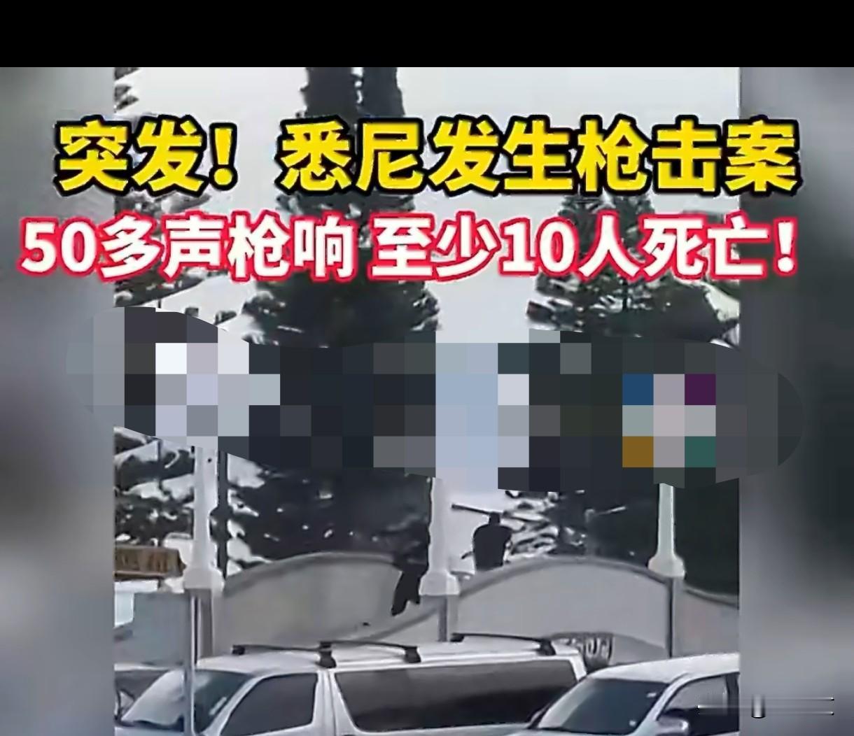 悉尼邦迪滩枪击案致10死！一场光明节庆典，竟成血色噩梦
 
12月14号这天，澳