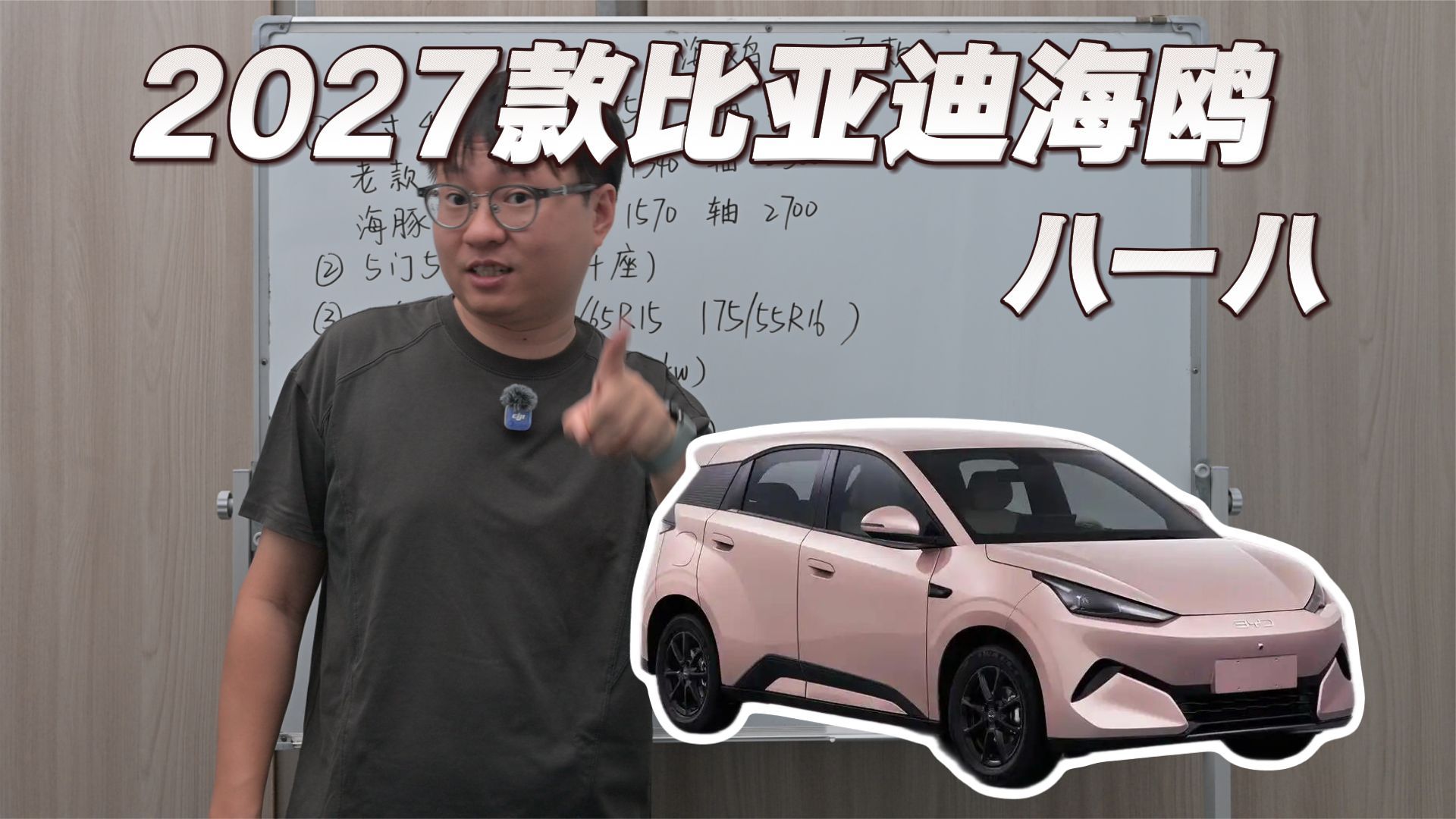 海鸥2027，比亚迪反击战？
