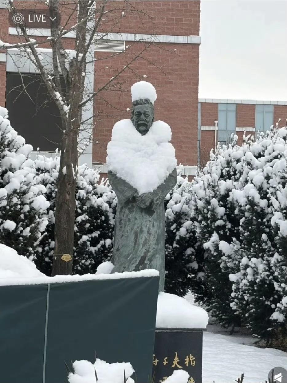 鲁迅的雕像在雪天如同穿上了一件貂皮大衣，戴了顶帽子[捂脸]甚是搞笑