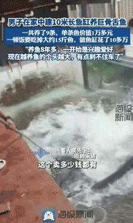 “有钱人真会玩！”山东滨州，一男子在家里建了10米长的鱼缸，里面养了9条巨骨舌鱼