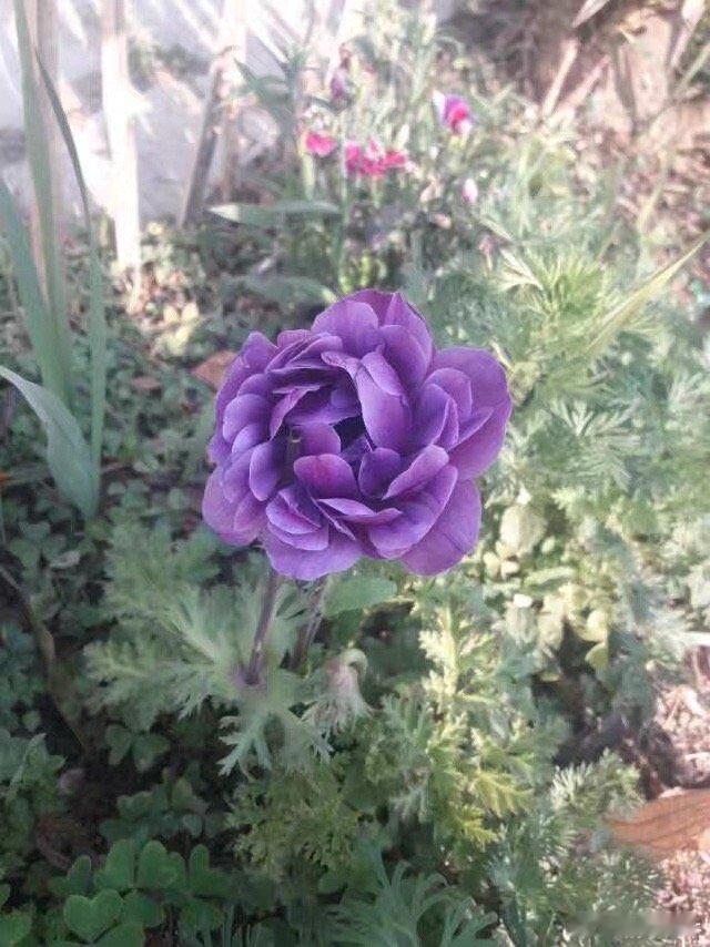 一步一步，稳扎稳打，一个红包接一个红包🧧 