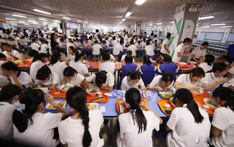 2027年底前，所有中小学必须取消校外配餐，政策从北京开始
 
近期“2027年