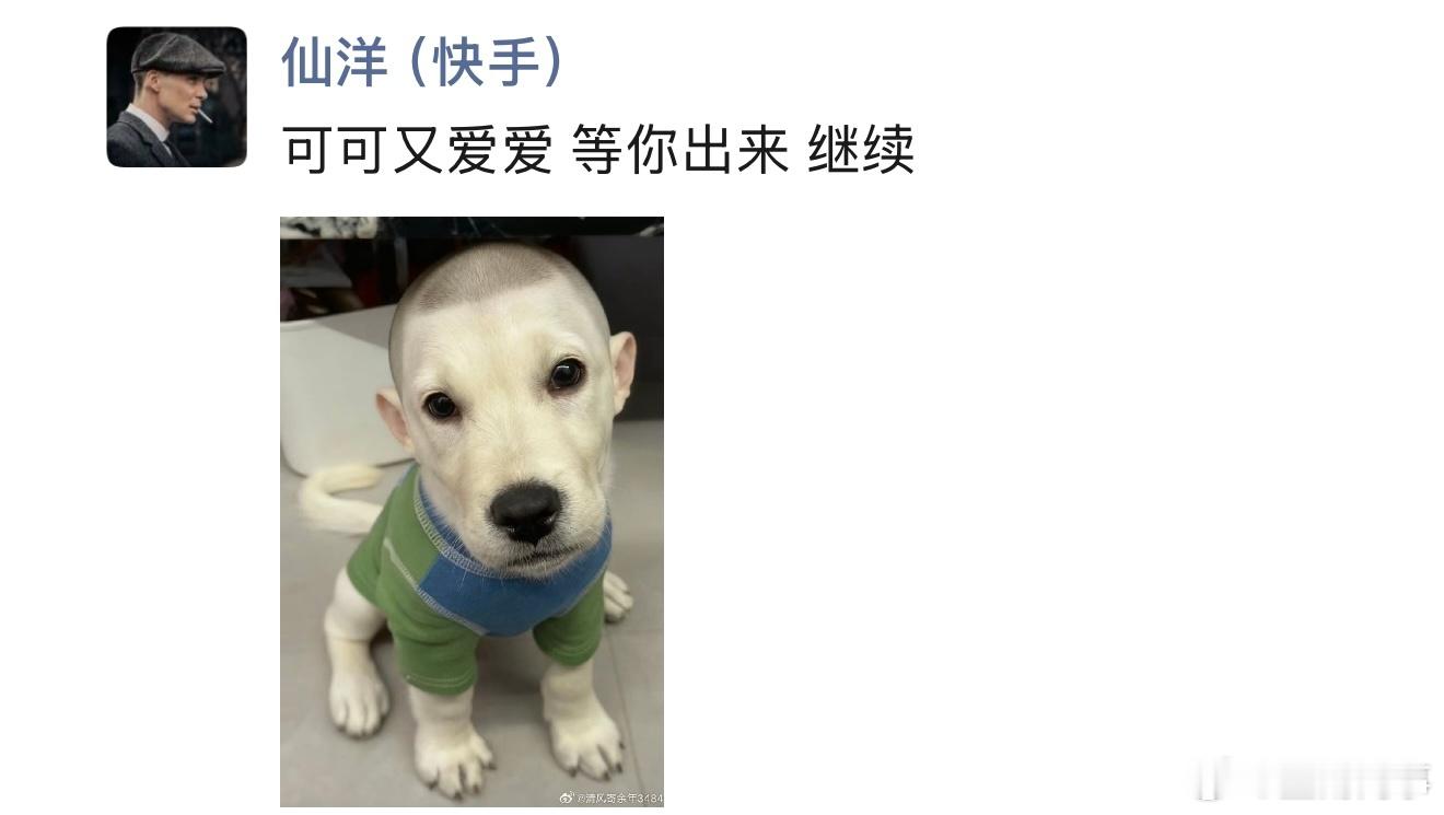 仙洋朋友圈嘲讽狗磊，可可爱爱，等你出来再继续啊！ 