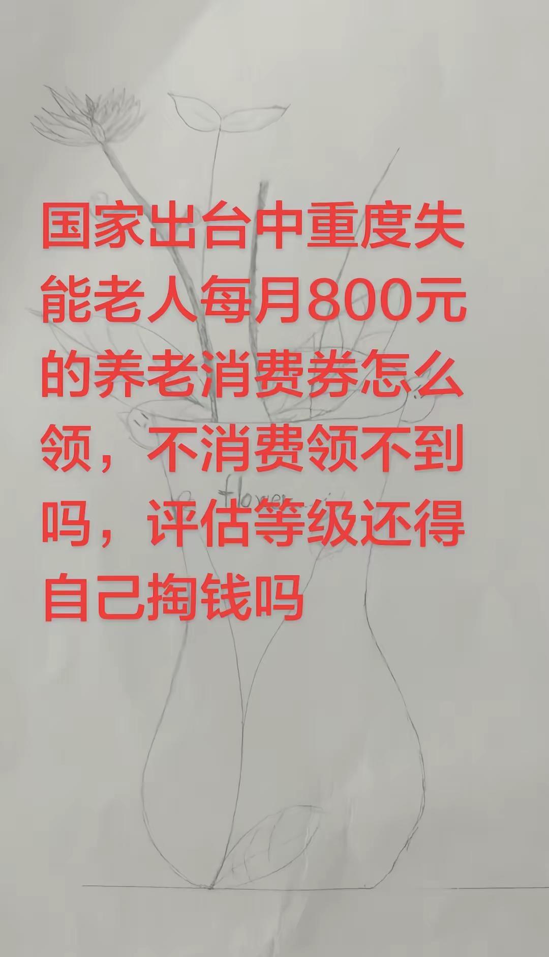 中重度失能老人养老消费款最终受益的是机构还是个人？