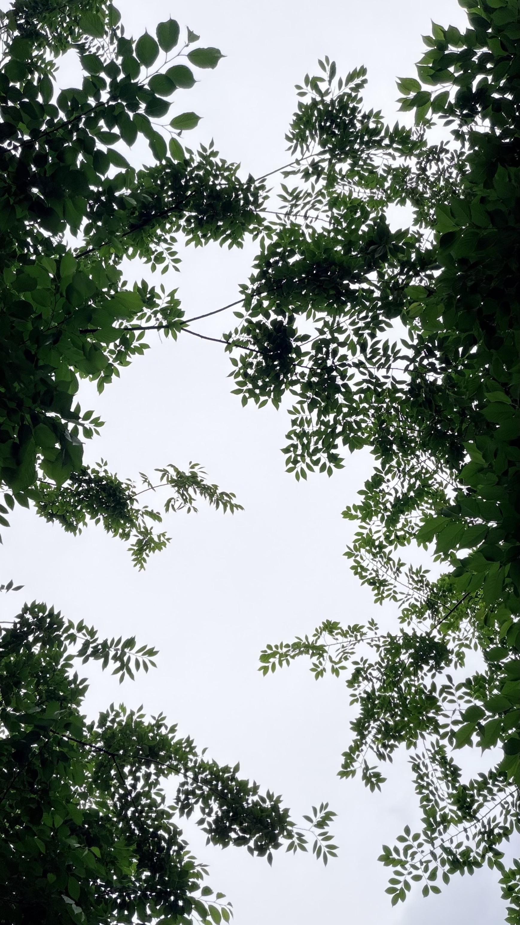我想要的我都愿意再等等