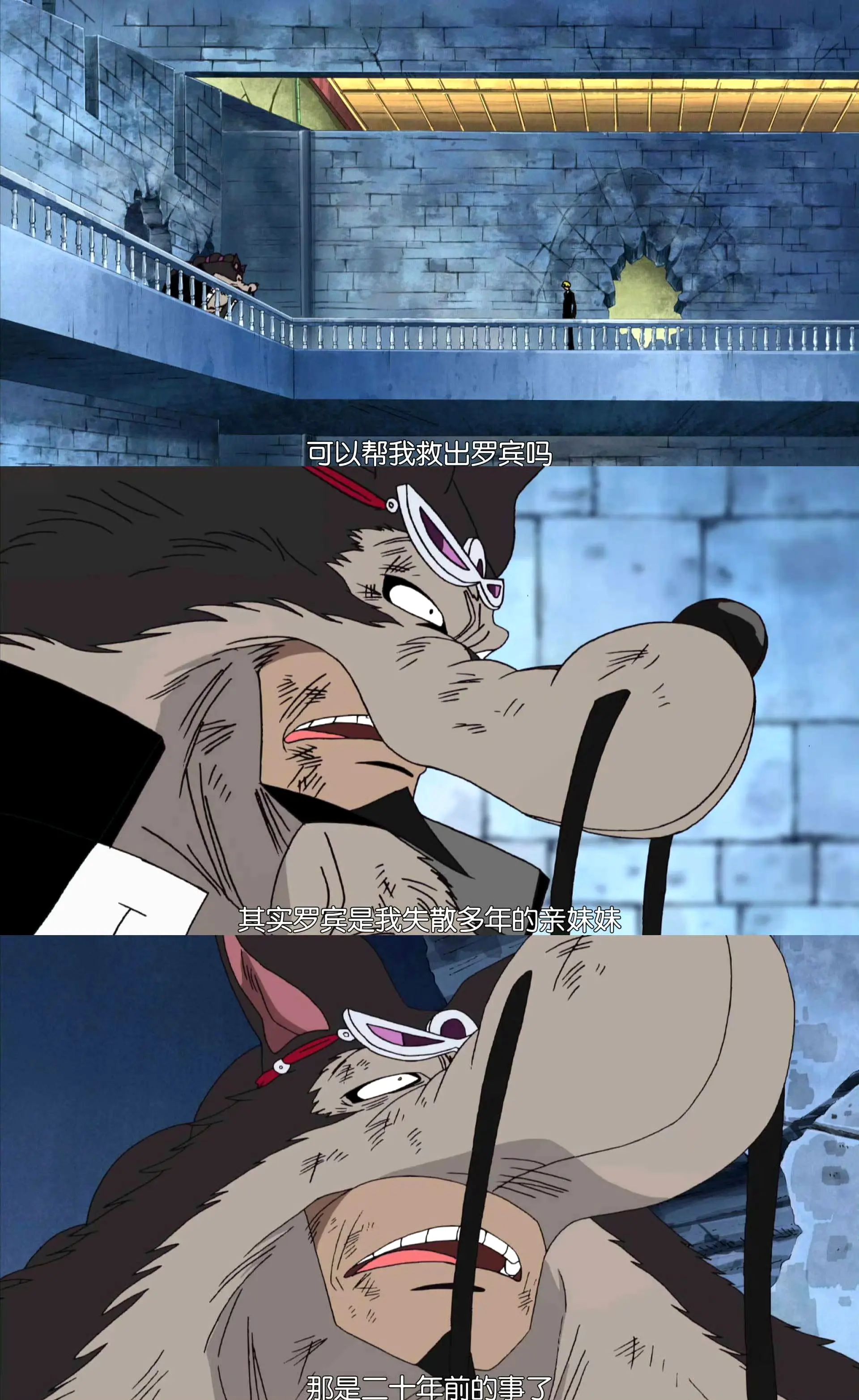 介绍一下 连罗宾都不知道的亲哥哥！