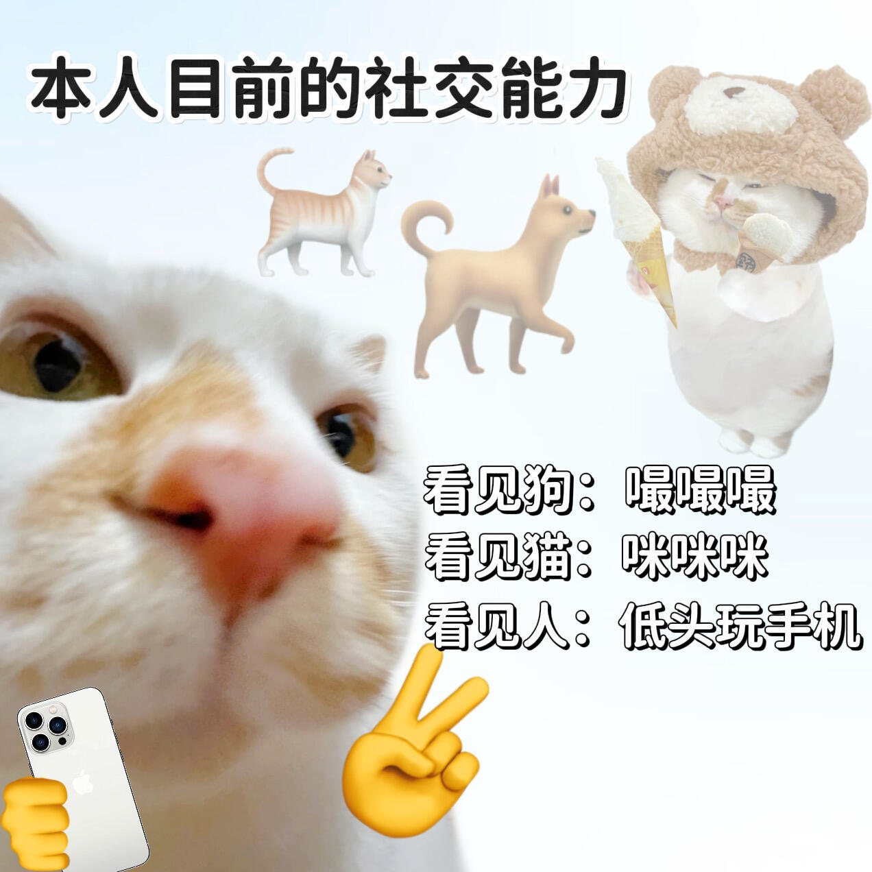哈哈哈，抄笔记，被傻子留言时的万能回复1.我现在很忙，你自己想开点吧2.恨来恨去