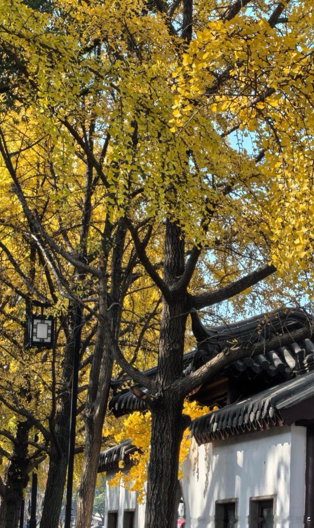 随手一看一拍都是对注意力和眼睛的馈赠啊 