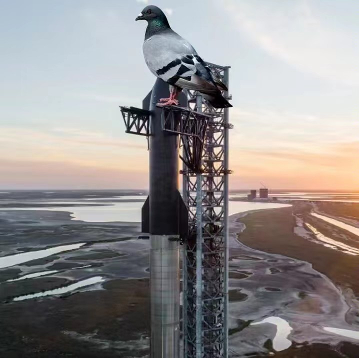 咕咕咕咕咕咕咕咕咕咕 ​​​