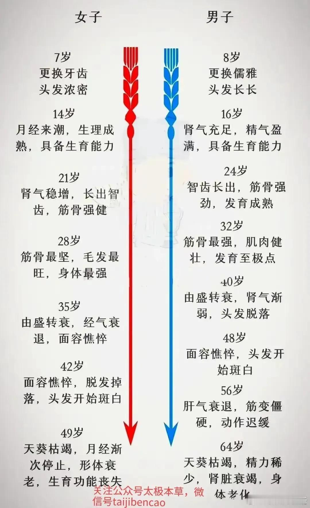 男女养生也有大不同！你是否知道男性和女性在养生时应该注意哪些不同的侧重点呢？

