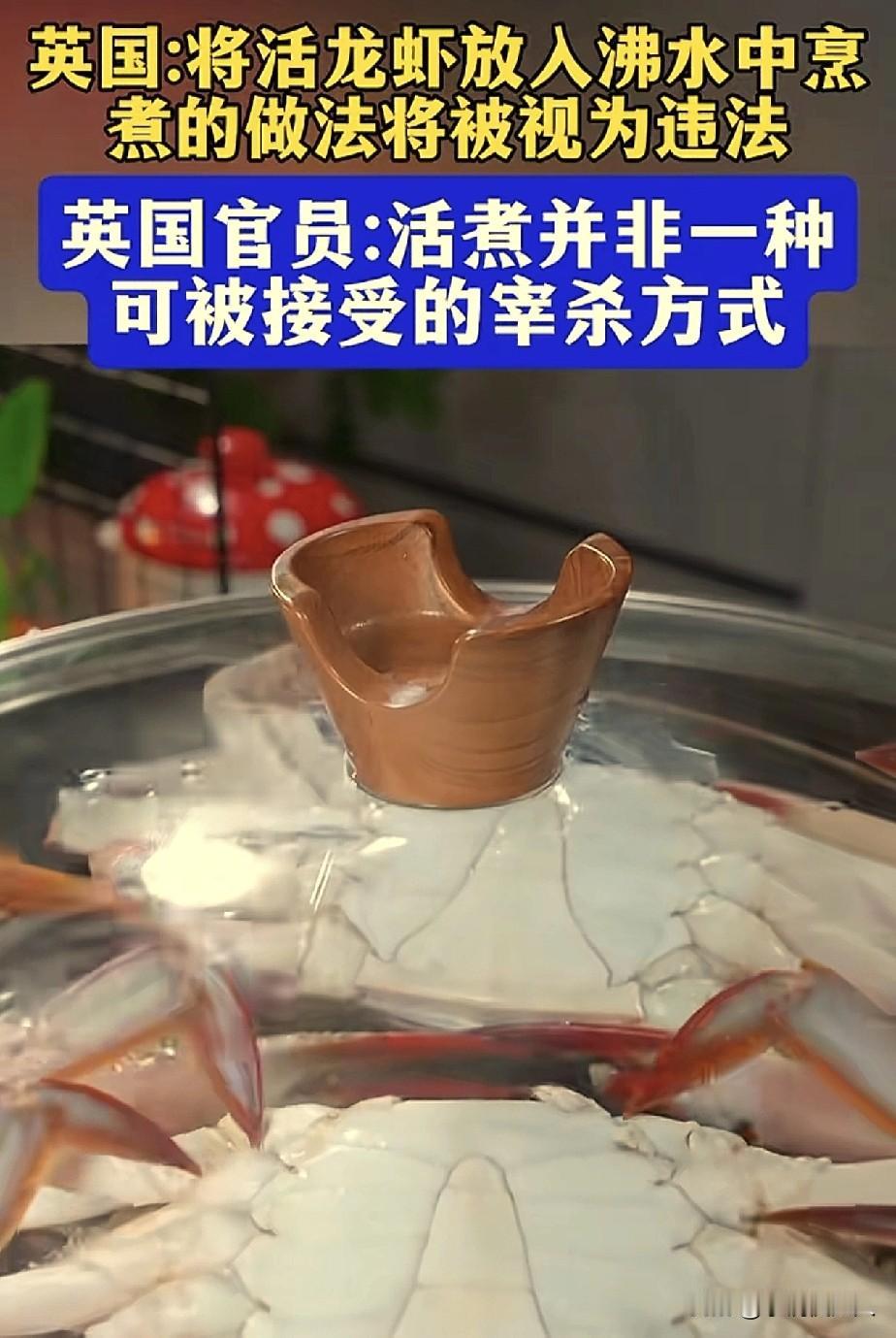 这世界真是一个“巨大的草台班子”！

英国的“专家”，出于“虾道主义精神”，禁止