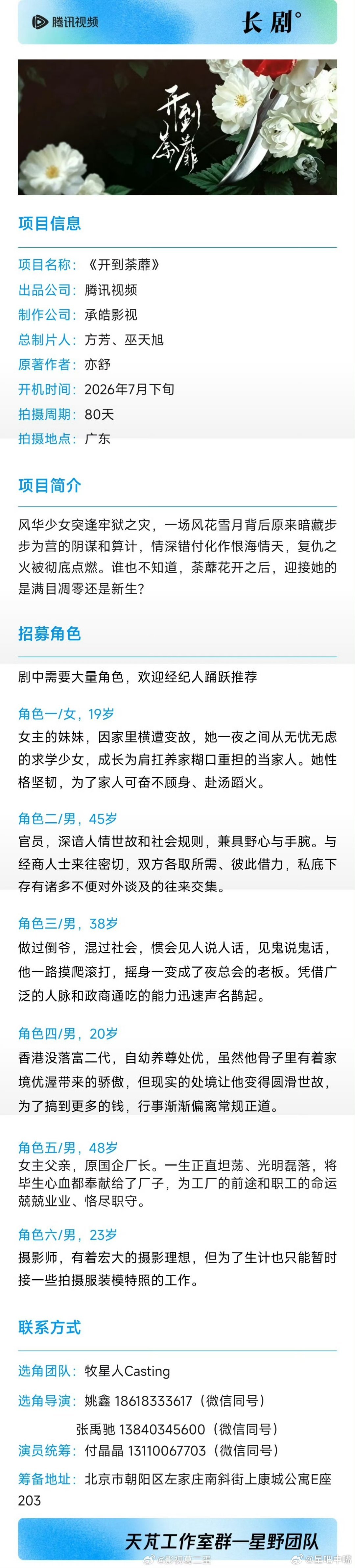 16集都市剧《开到荼蘼  》，根据亦舒同名小说改编：🍉领衔主演：白鹿 彭冠英（