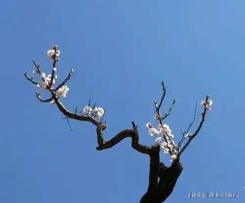 老人养老：人到了晚年，钱和儿女哪个更重要？

以本人的观点，要看老人晚年养老的实