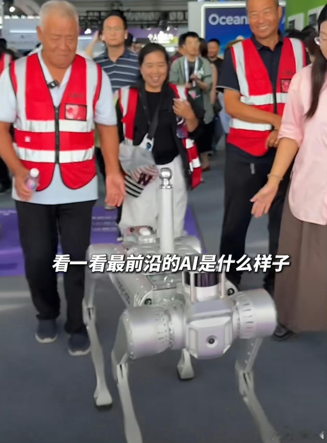 97年女村长说农村是最需要AI的地方 看到97后女支书带着乡村老人来到外滩大会，