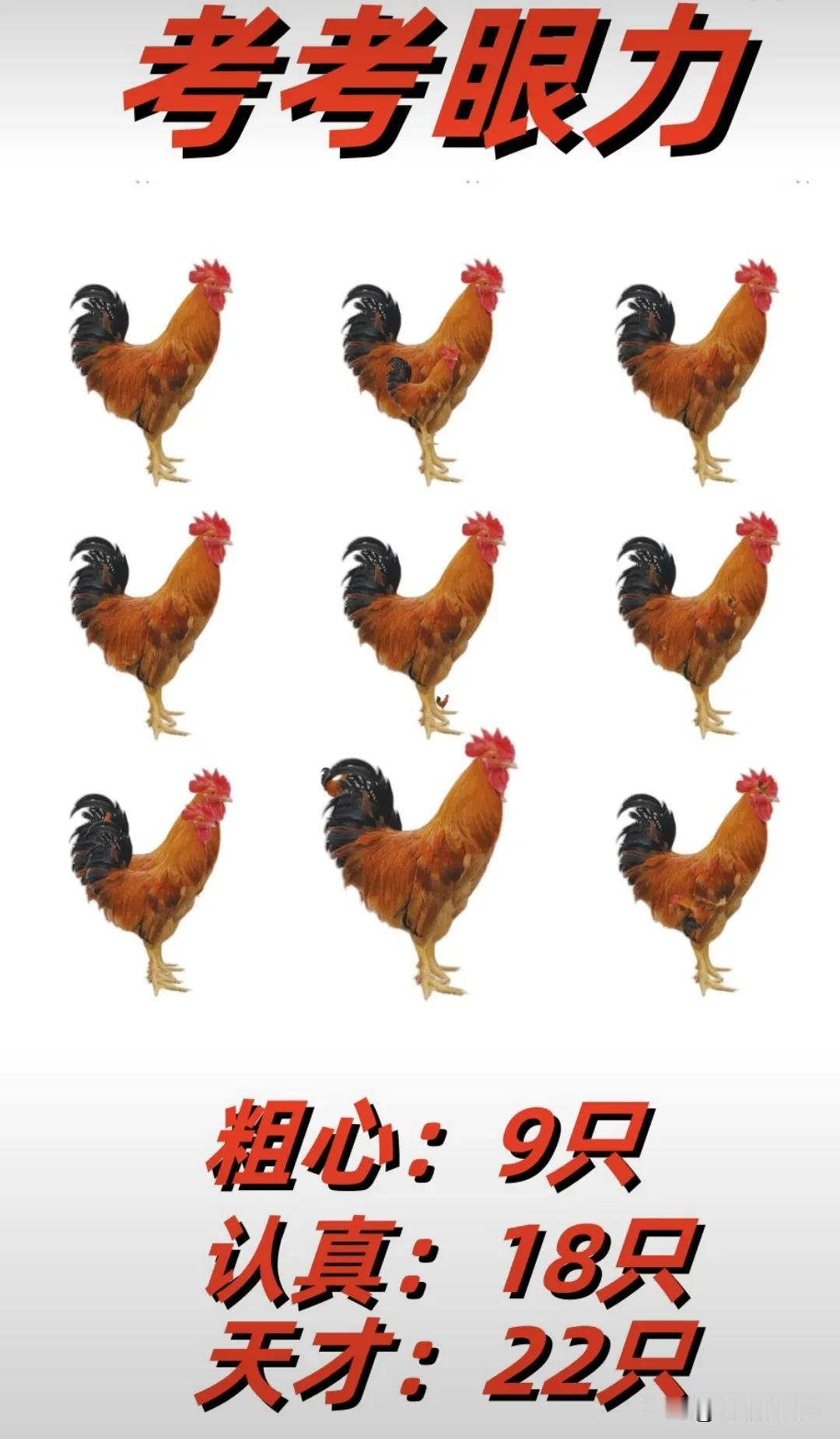 就这张图，如果你两眼没有达到1.5以上的话，不是我吹，你能找到15只鸡就算不错了