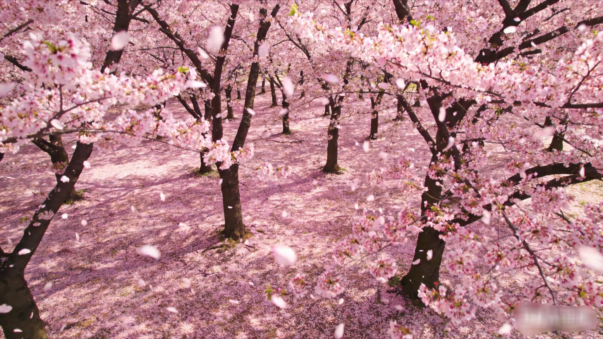 特朗普备好鸿门宴高市早苗步步惊心  这可瞎整呢，真是真也不是那也不是的，得罪哪边