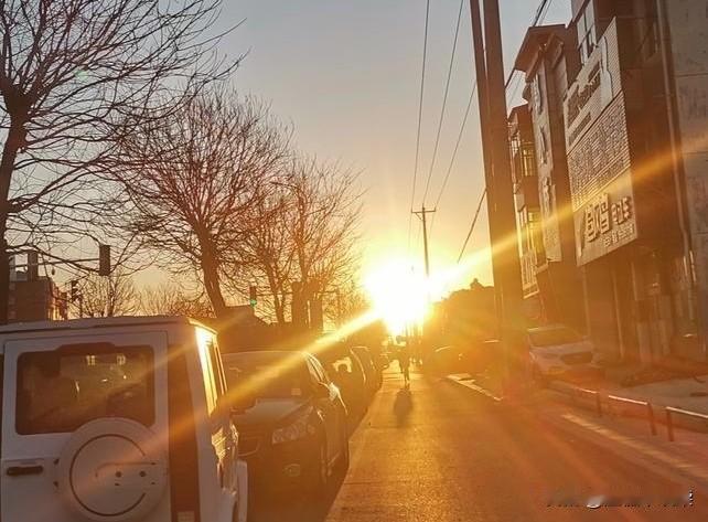 三更酣睡，灶马声遽起，惊觉，虽有“灶有马，足食之兆”一说，然瞿瞿之声实烦人耳，遂