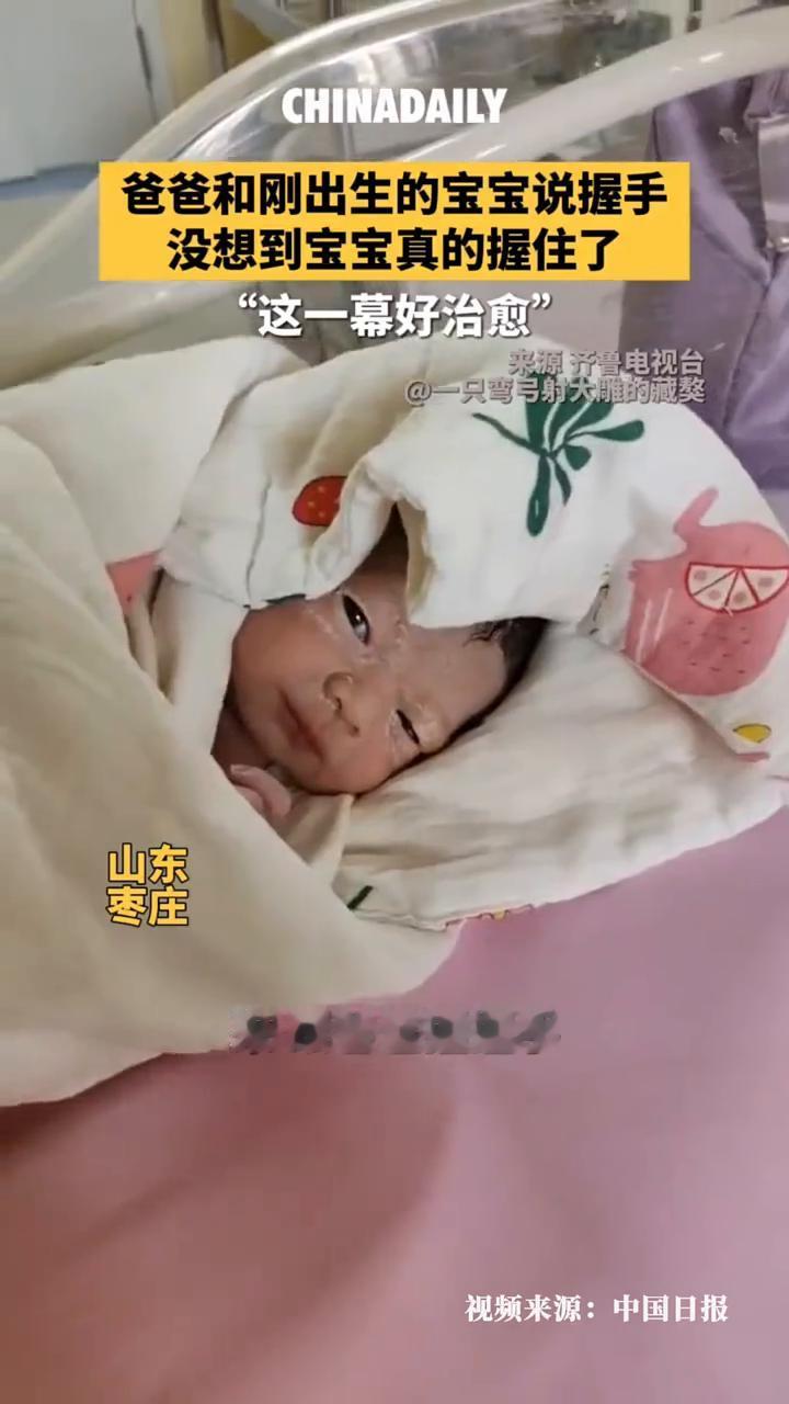 跟爸爸握握手。握握手，这是握手，真乖。当时孩子刚生下来，我跟孩子在一个房间里，突