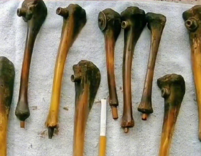 什么叫血海深仇？  这就是！日本人曾用小孩的腿骨做烟斗，铭记历史！我们没资格替先