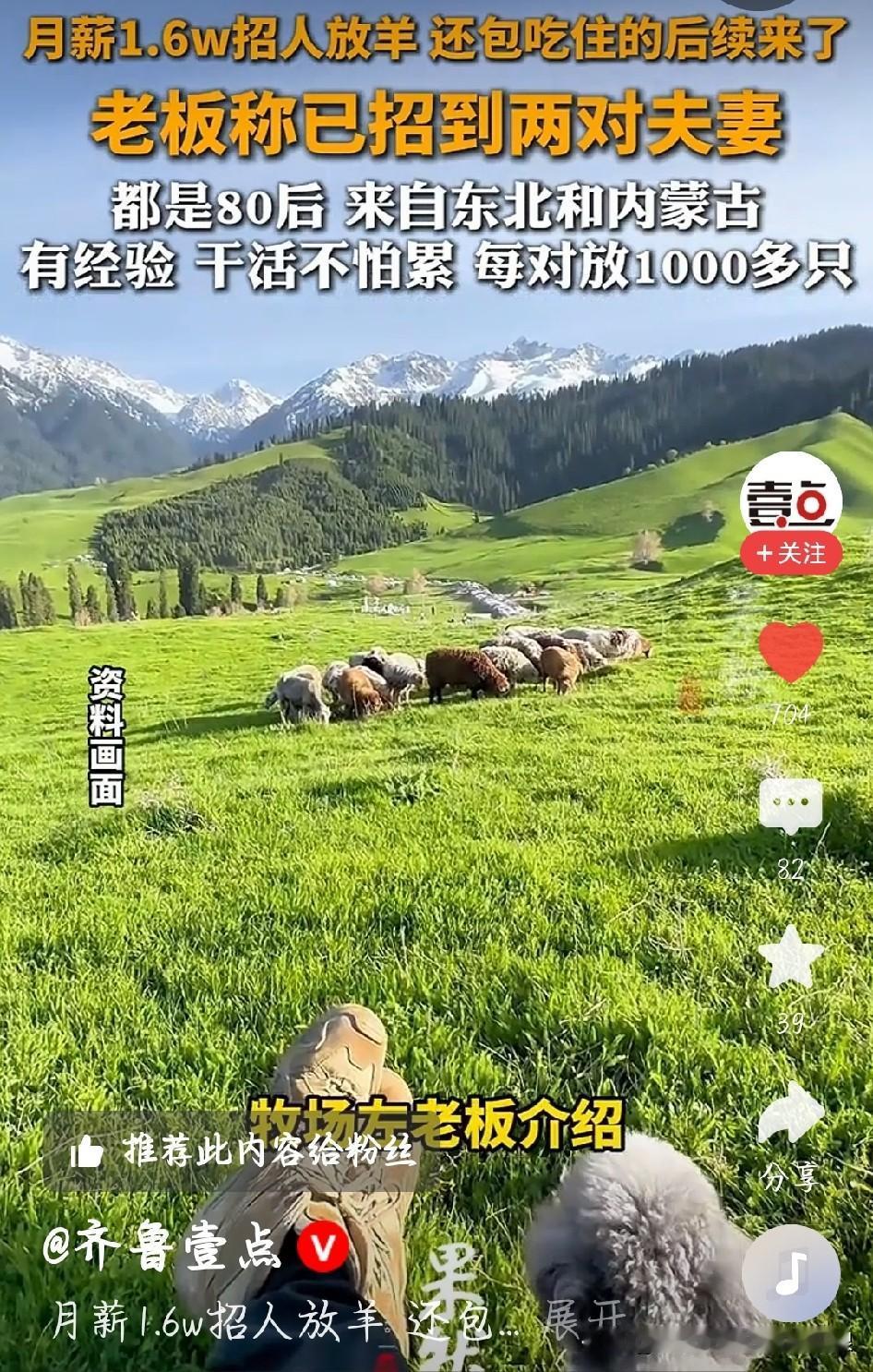 月薪1.6万放羊！两对夫妻已经上岗
 
内蒙古牧场高薪放羊的事终于有后续了，老板