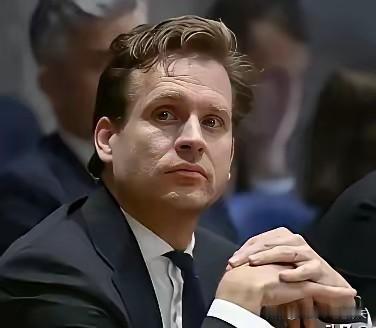 多人已呼吁多次，再次强烈建议国家有关部门对，安世之乱的始作蛹者一荷兰经济大臣卡雷