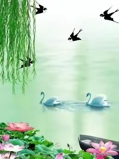 清江引·醉赏荷柳
醉观嫩柳逍遥态，
痴赏红莲彩。
千丝绿韵飘，
万缕红波摆。
水