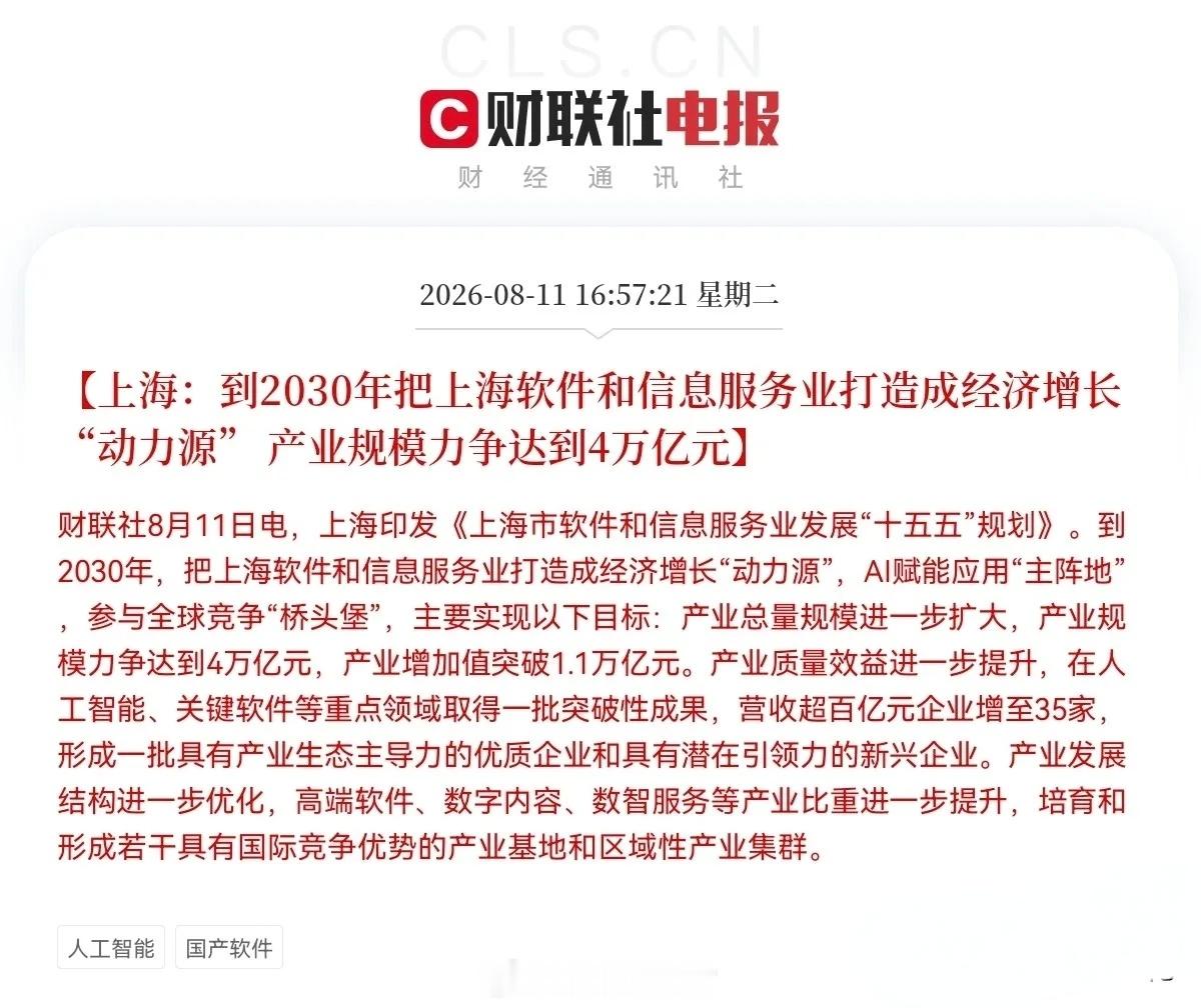上海又放大招，国产软件要疯狂了？下午，又一份重量级产业规划正式出炉了，上海刚刚出