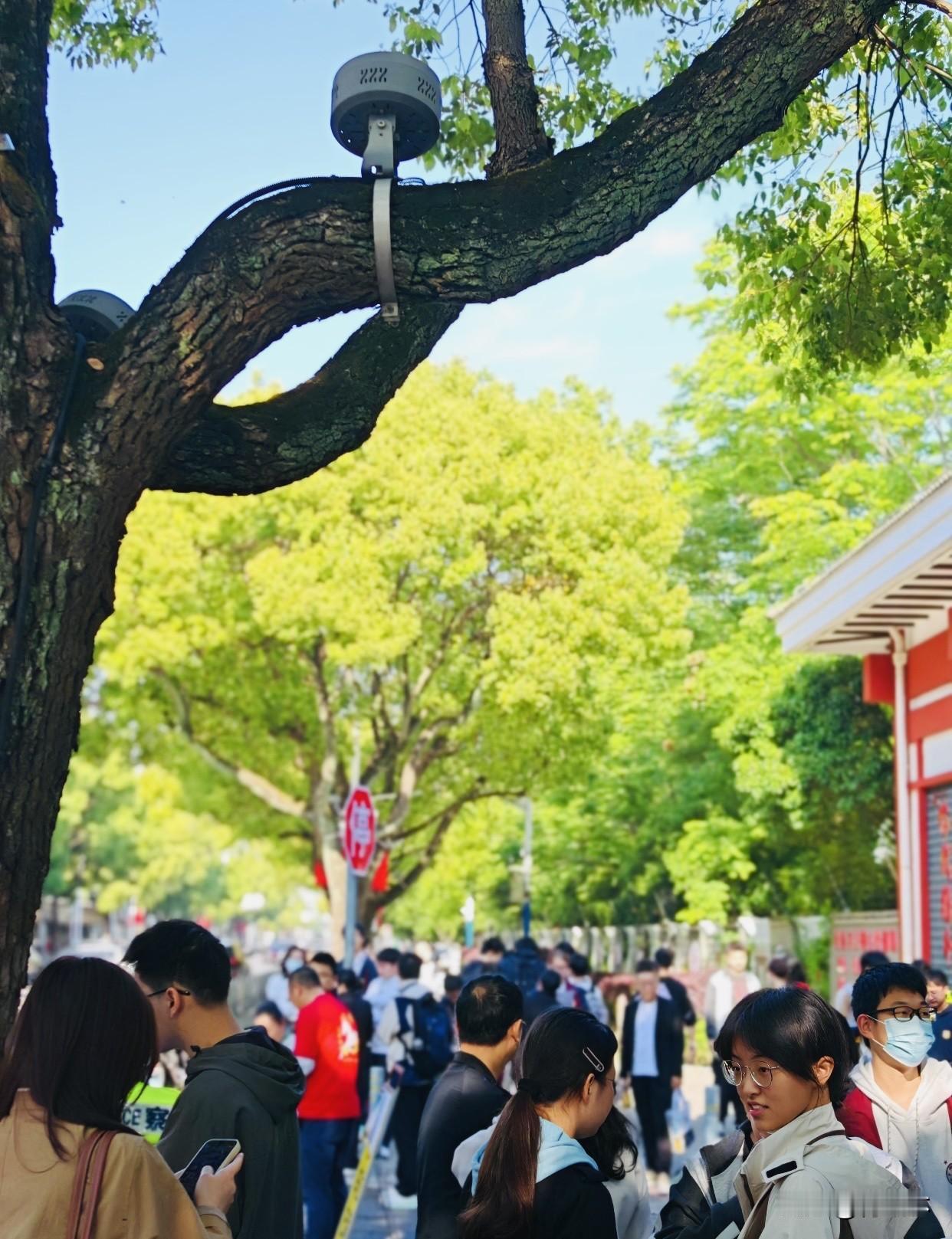 你有哪些给高考学子的祝福即将高考的学子们，寒窗苦读这么多年，终于到上场的时候啦！