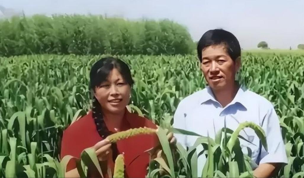 1985年，陕西一父亲逼着19岁的女儿嫁给恩人的儿子，女儿哭闹7天，忽然放弃逃跑