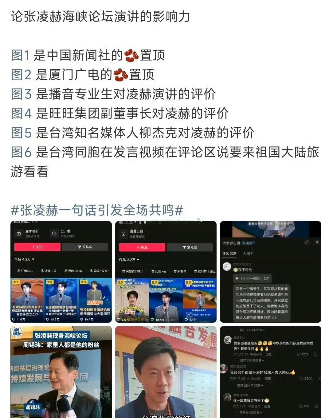 张凌赫海峡论坛演讲影响力，是什么水平？ 