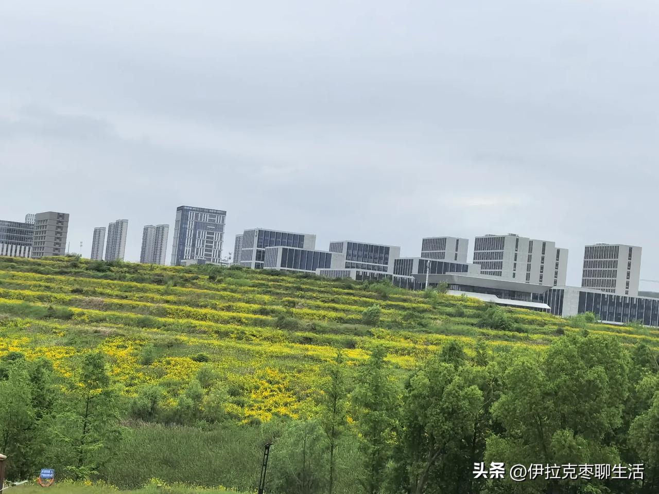 都说现在网络发达干啥方便了，可是还是有不能满足的地方。

去年我去上级医院做脑核