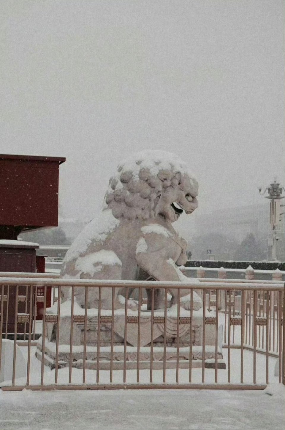 “农村、老人”，这两个关键词看的火冒三丈！谁家不是农村出来的？又有谁家没有老人？