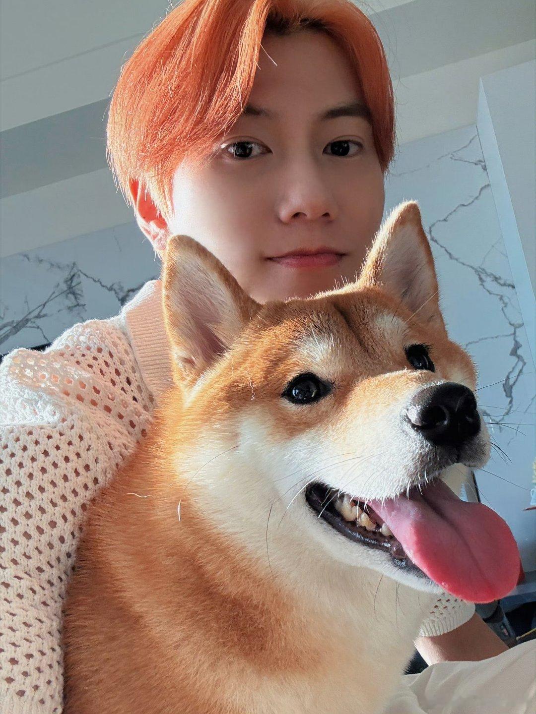 #台剧关于未知的我们[超话]# 🍊🍊🍊momo酱：粑粑是橙毛 我也是橙毛 