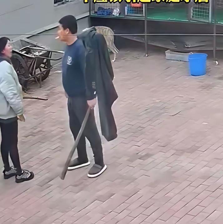 你能想到吗？就为了一条狗，夫妻俩竟在院子里激烈争执起来。妻子怒不可遏，抄起椅子就