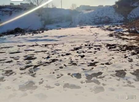 发光不必问归途
 
“是金子总会发光”，可灯泡亦能点亮黑夜，太阳更能普照万物。三